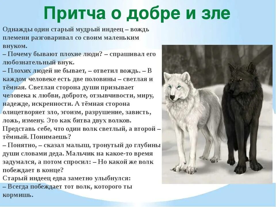 Общественные представления о добре и зле. Два волка добро и зло притча. притча о добре. притча о добре и зле. притча о двух волках.