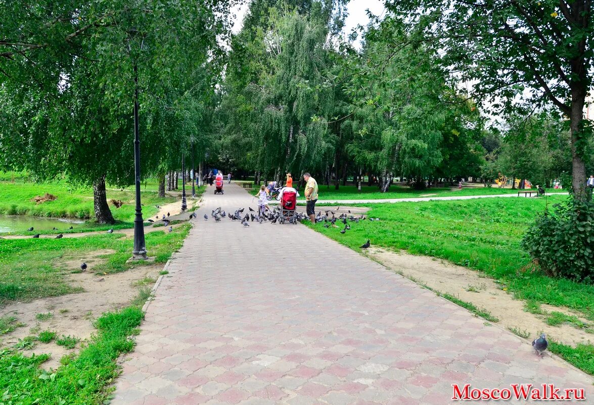 пкио долгопрудный. долгопрудный лесопарк. парки долгопрудного. центральный парк долгопрудный. центральный парк долгопрудный.