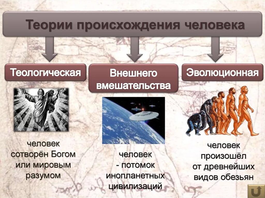Теории происхождения человека. Основная теория происхождения человека. 2 Гипотезы происхождения человека. 3 Теории происхождения человека.