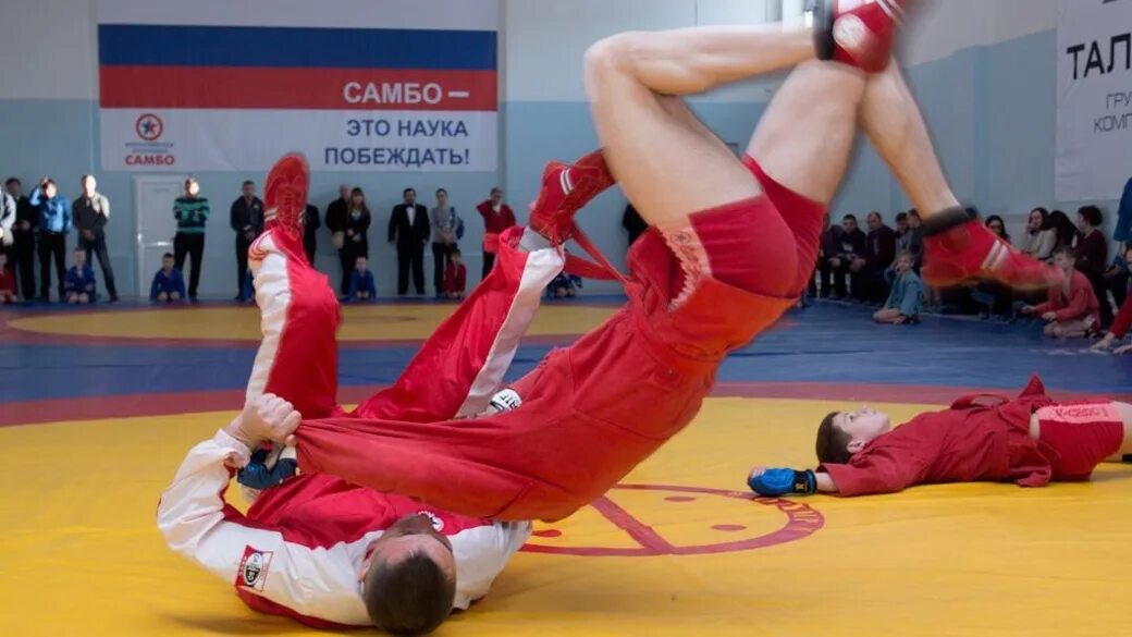Центр самбо. Алтайский центр самбо. центр самбо барнаул. попов сергей самбо. открытие центра самбо в барнауле.