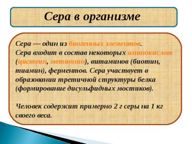 Польза серы для человека. Сера в организме человека. Роль серы в организме. Функции серы в организме человека. Значение серы в организме человека.