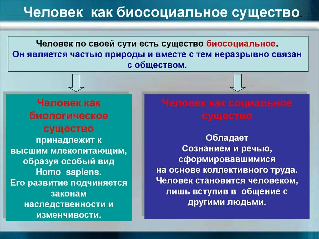 Что означает биосоциальное существо. Человек биосоциальное существо. Биосоциальное в человеке. Человек существо биосоциальное презентация. Тема человек биосоциальное существо.