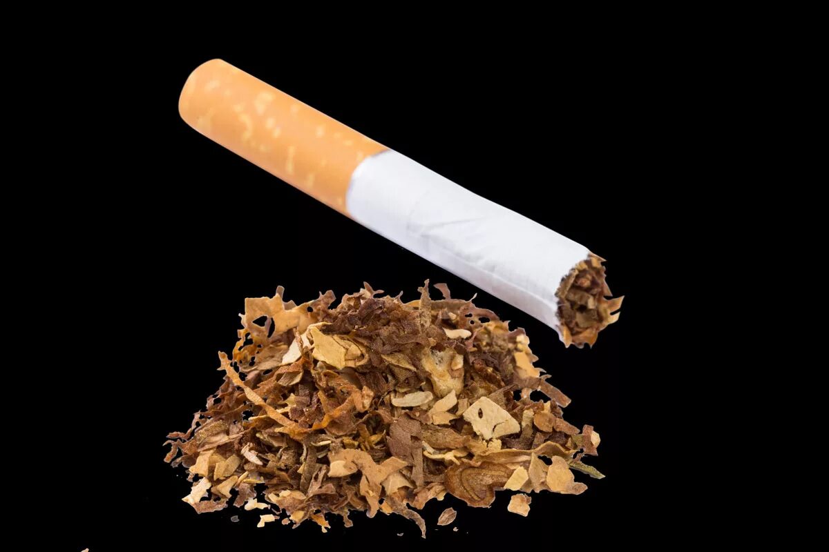 Самокрутки табак сигареты
