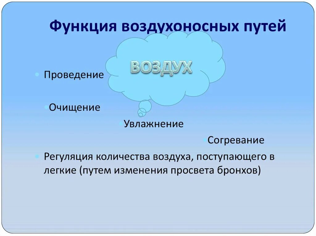 Воздухоносную функцию выполняет. Функции воздухоносных путей. Функции воздухносные путь. Функции воздухоносных путей физиология. Функции воздухопроводящих путей.