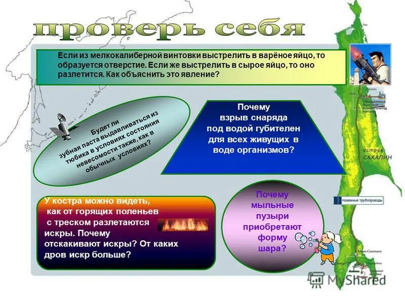 Из мелкокалиберной винтовки выстрелили в сырое и вареное яйцо. Если выстрелить в вареное яйцо. Из мелкокалиберной винтовки выстрелили в сырое и вареное яйцо. Если из мелкокалиберной винтовки выстрелить вареное яйцо. Если из мелкокалиберной винтовки выстрелить вареное яйцо.