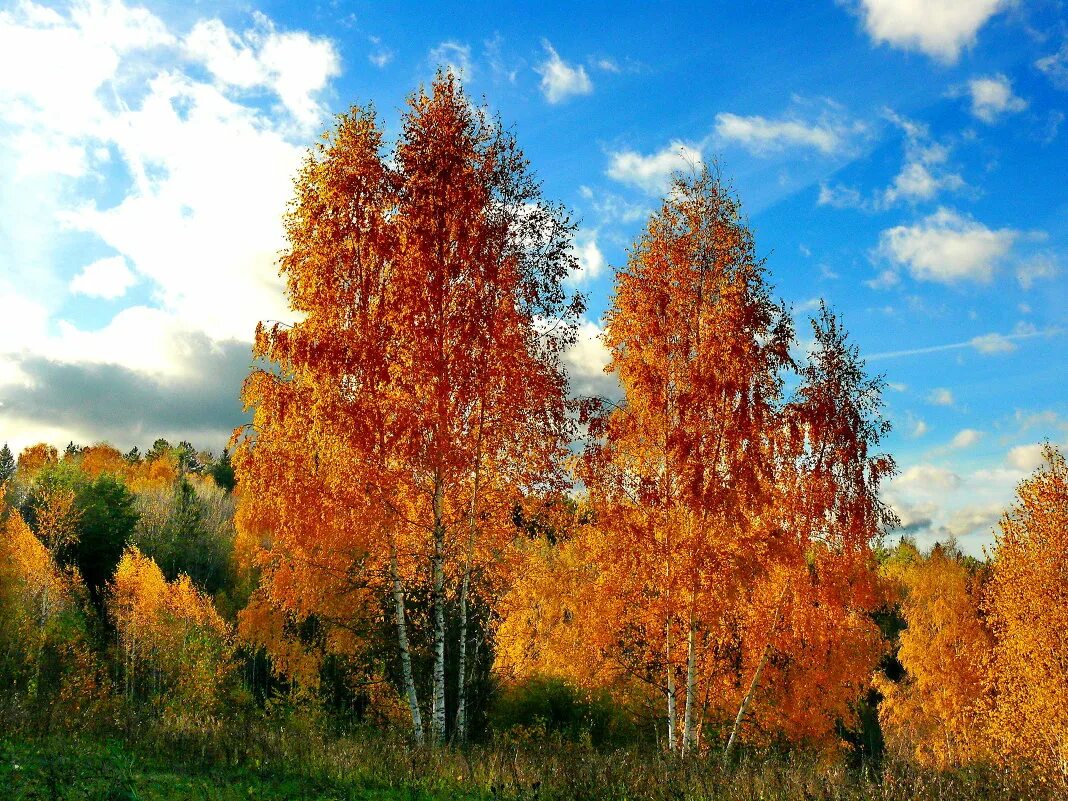 Октябрь месяц природа. Октябрь фото. Осенние месяцы октябрь. Пейзажи октябрь месяц.