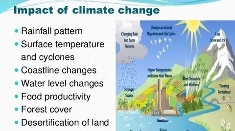 How climate