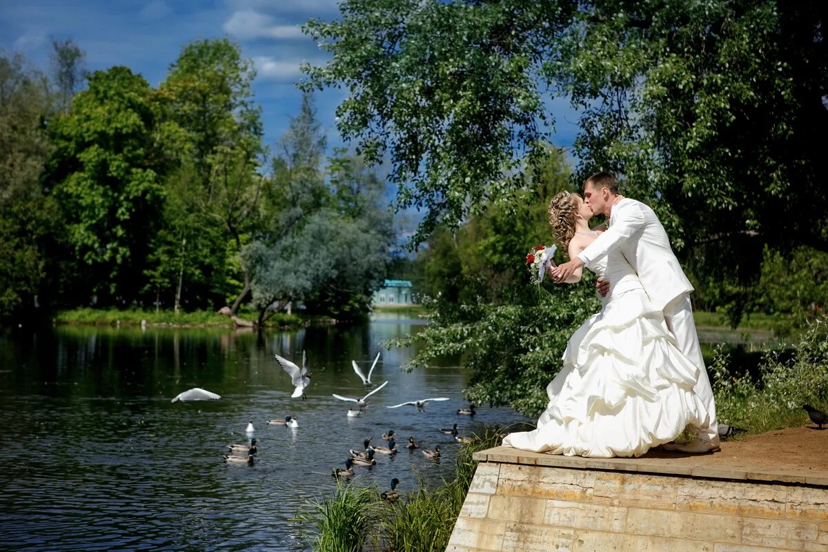 Где сделать свадебную. Свадьба в Гатчине. Свадебная фотосессия в Гатчине. Фотосессия в Гатчине. Фотосессия в Гатчинском Дворце.