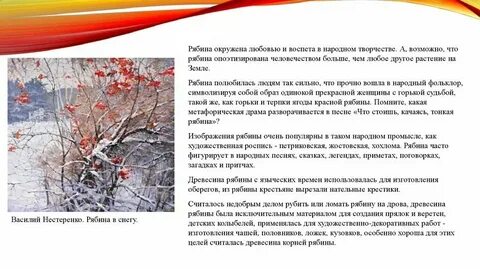 Падеж слова рябине