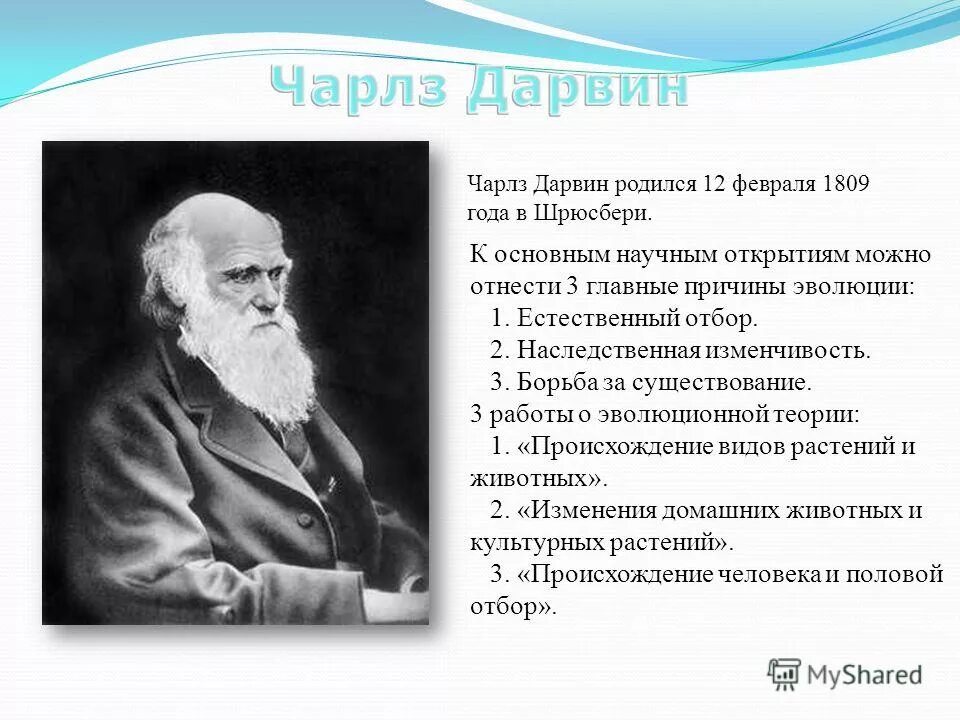 Теория естественного развития. Эволюционная теория естественный отбор. Теория естественного отбора Дарвина. Дарвин родился. Дарвин происхождение видов.