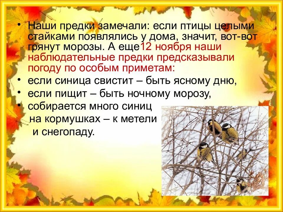 Беседа синичкин день. 12 ноября синичкин календарь. 12 ноября синичкин день презентация. синичкин день в детском саду папка. 12 ноября синичкин день папка передвижка.