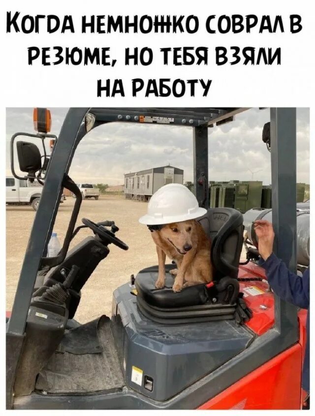 Немного картинок для настроения 30.12.19 - ЯПлакалъ
