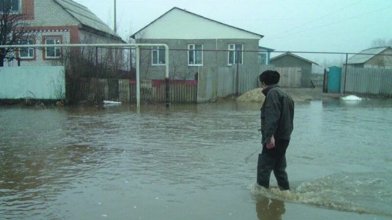 Талы воронежской области кантемировский район. Смаглеевка Кантемировский район. Село Скнаровка Воронежская область. Скнаровка Кантемировский район. Скнаровка Воронежская область Кантемировский район.