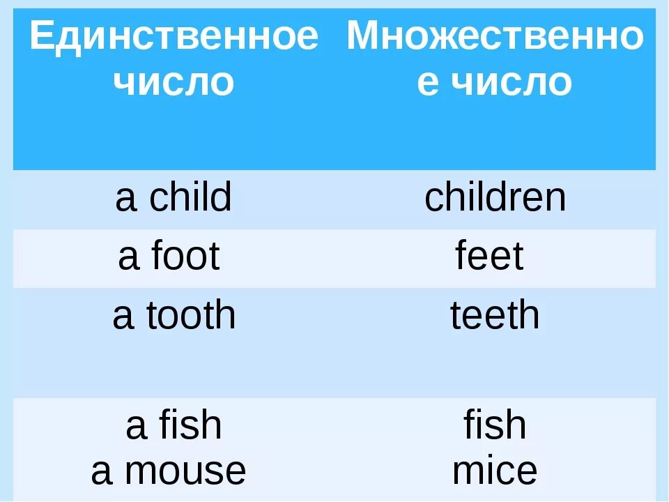 Образуйте формы единственного числа. Число множественное число. Foot во множественном числе на английском. Child множественное число. Child во множественном числе на английском.