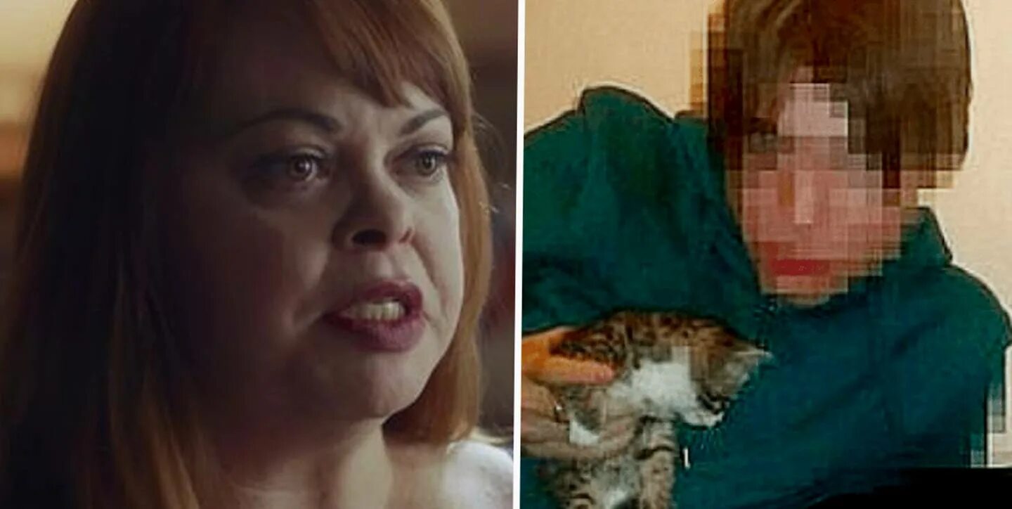 1 boy 2 kittens original