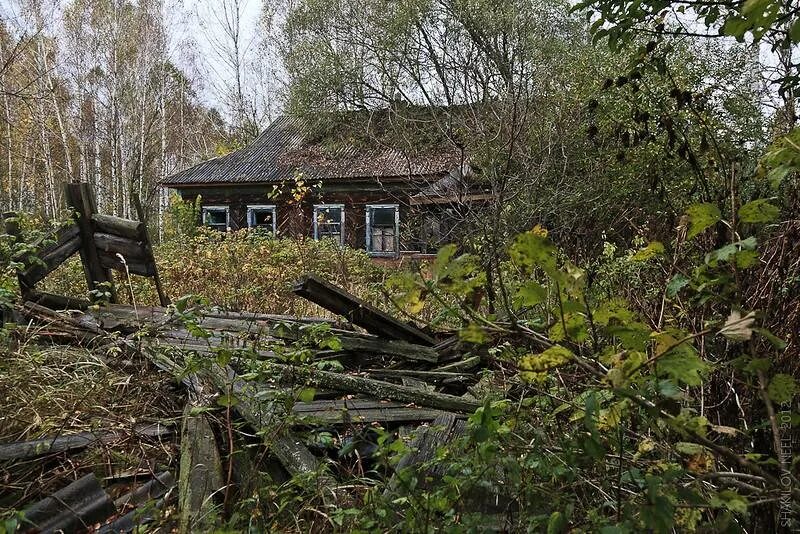 Позабыт заброшен. Заброшенные деревни МО Новольвовское. Заброшеные деревни Костромской области. Заброшенные деревни Польши. Заброшенные деревни СССР.