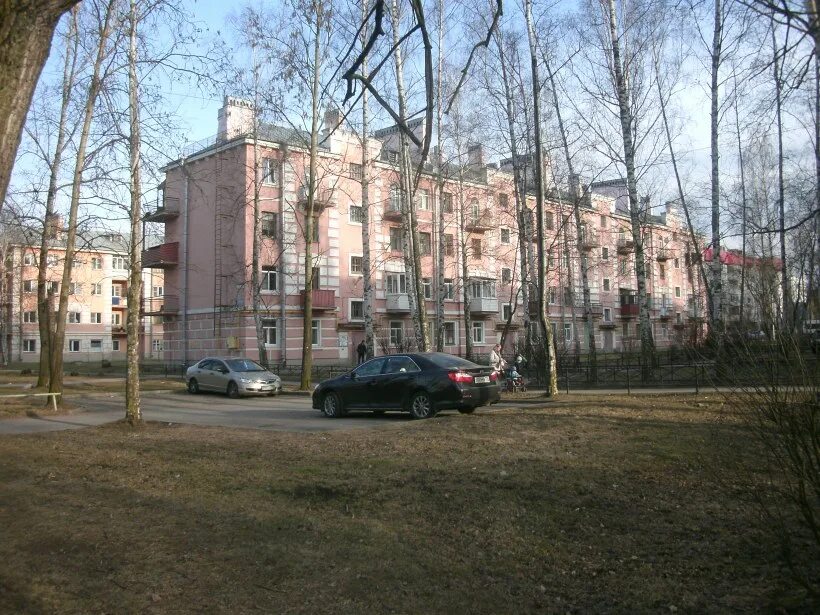 Санкт петербург политрука пасечника. Улица политрука Пасечника. Санкт-Петербург политрука Пасечника дом2. Горелово улица политрука Пасечника.