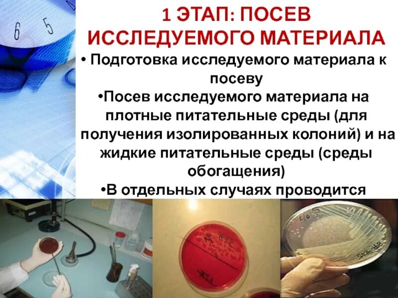 Методы посева на питательные среды микробиология. Методы посева микроорганизмов на питательные среды. Посев патологического материала на питательные среды. Посев на питательные среды микробиология. 2 этап бактериологического метода