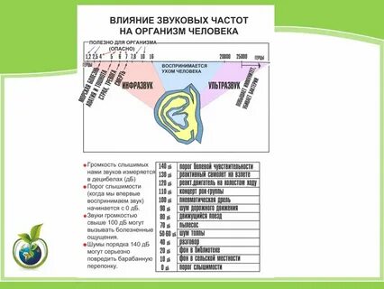 Почему человек не слышит высокие частоты