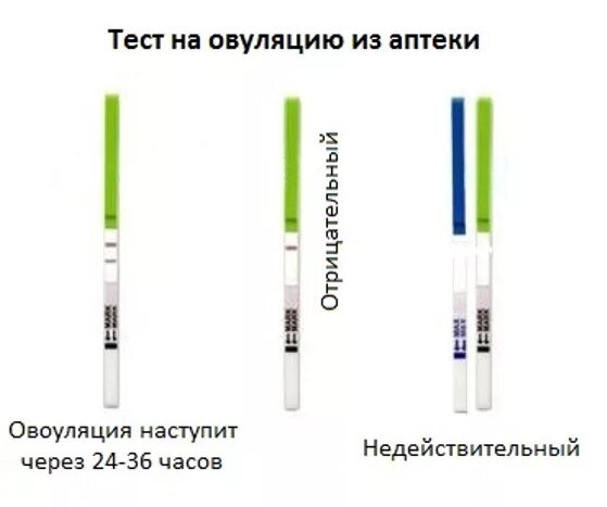 Плохо в овуляцию. Как определить овуляцию. Определение овуляции. Тест на овуляцию. Как определяется овуляция.