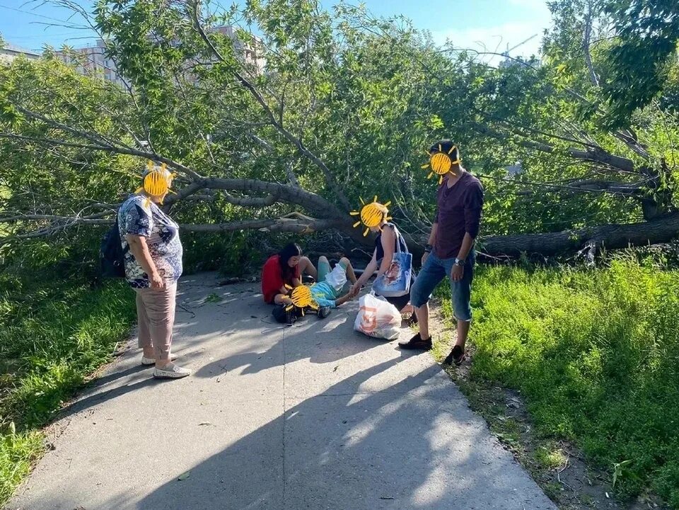 Девочка упала дерева. В городском парке упало дерево саратов. Девочка упала дерева. Девочка упала дерева. На девочек упало дерево на гамаке.