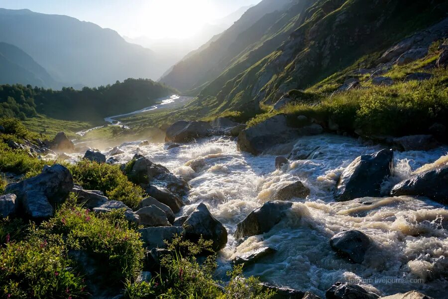 чеченская республика ущелье рек. горный ручей архыз. терек в горах. терек в горах. река терек на кавказе.