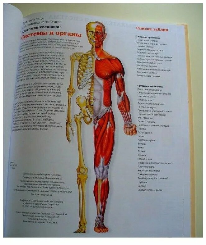 Махиянова е.б большой атлас анатомии человека. Анатомический атлас Махиянова. Большой атлас анатомии человека лучшие в мире анатомические. Большой атлас анатомии человек анатомические таблицы.