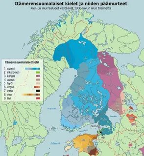Этнический состав финляндии