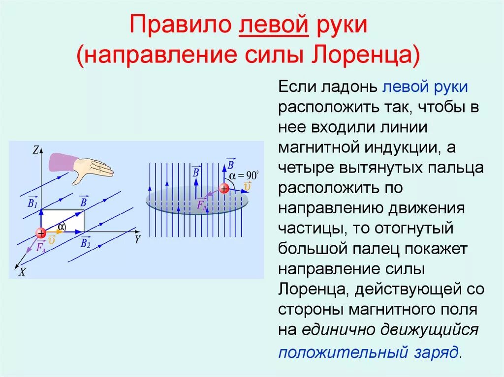 Правило лоренца и ампера. Правило левой и правой руки для силы Лоренца. Правило левой руки физика Лоренца. Правило левой руки для магнитного поля сила Лоренца. Закон левой руки для силы Лоренца.