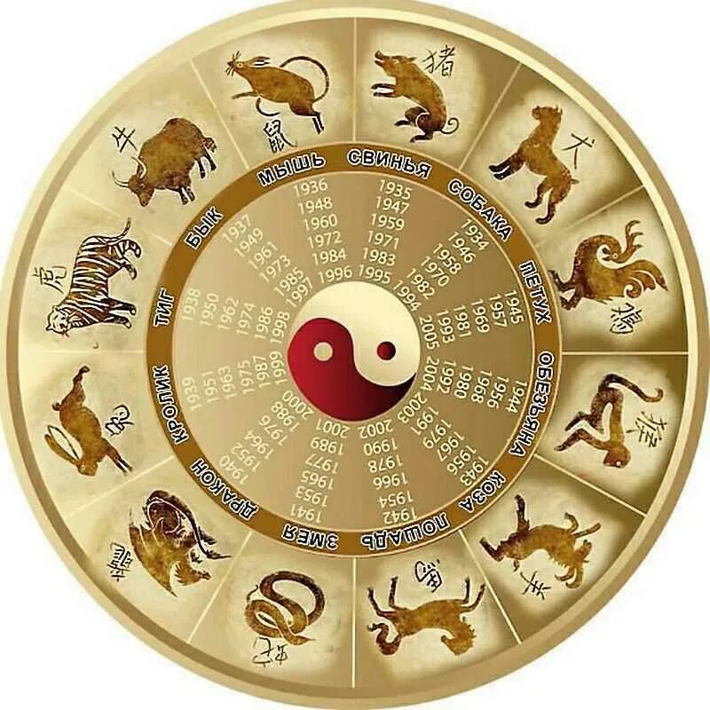 Знак гороскопа 2023 года. Китайский гороскоп. Символы года. Знаки китайского гороскопа. Китайский гороскоп по годам.
