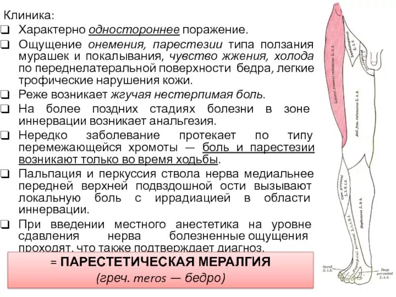 Боль по наружной поверхности бедра. Парестетическая мералгия. Болезнь рота Бернгардта. Немеет бедро с наружной стороны.