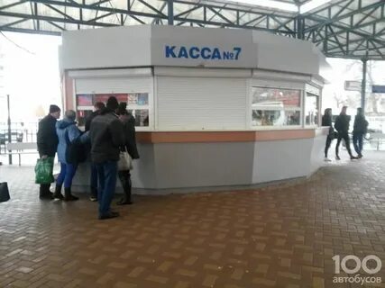770343 телефон брянск