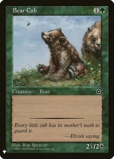 Bear description