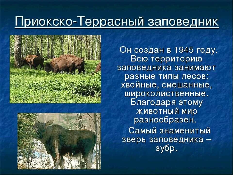 Заповедник 2 класс окружающий мир кратко. Сведения о Приокско Террасном заповеднике. Сообщение о заповеднике Приокско-Террасный заповедник. Проект на тему Приокско Террасный заповедник. Приокско-Террасный заповедник презентация.