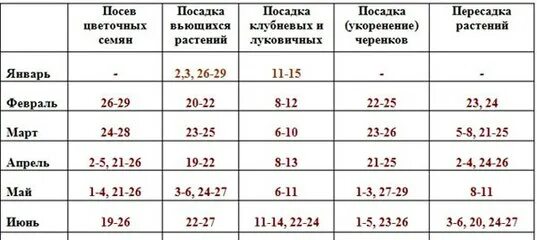 Пересадка комнатных растений февраль 2024 года. Календарь комнатных растений. Лунный календарь для комнатных растений. Календарь пересадки комнатных растений. Лунный календарь цветовода комнатные растения.