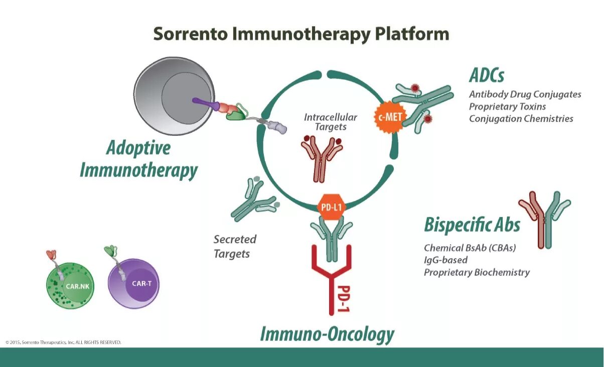 Иммунотерапия. Intracellular antibody. Conjugated monoclonal antibodies. Antibodies иконка. Current report