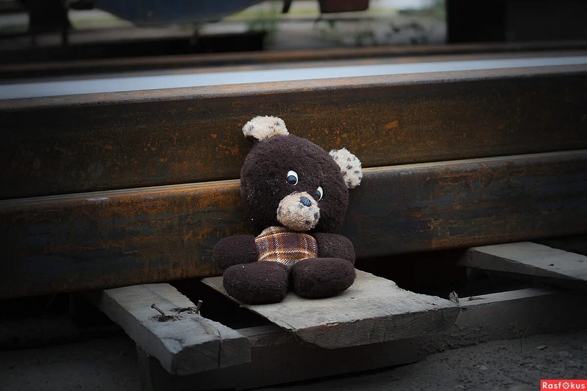 Мишку бросила хозяйка. Плюшевый медведь на помойке. Грустные картинки. Брошенный мишка. Брошенный мишка.