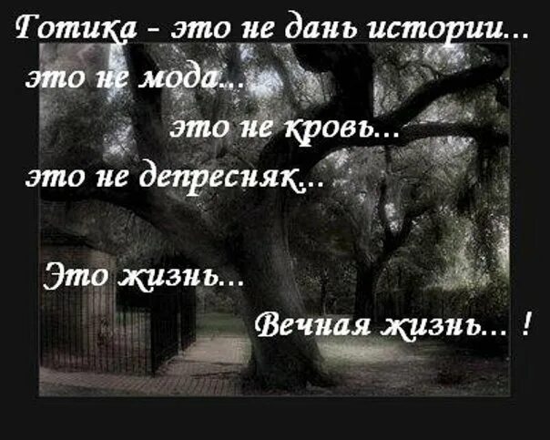 Готические цитаты. Готические статусы. Высказывания готов. Готические цитаты со смыслом. Состояние не готов