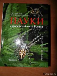 Паук книга