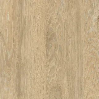 Oak 12