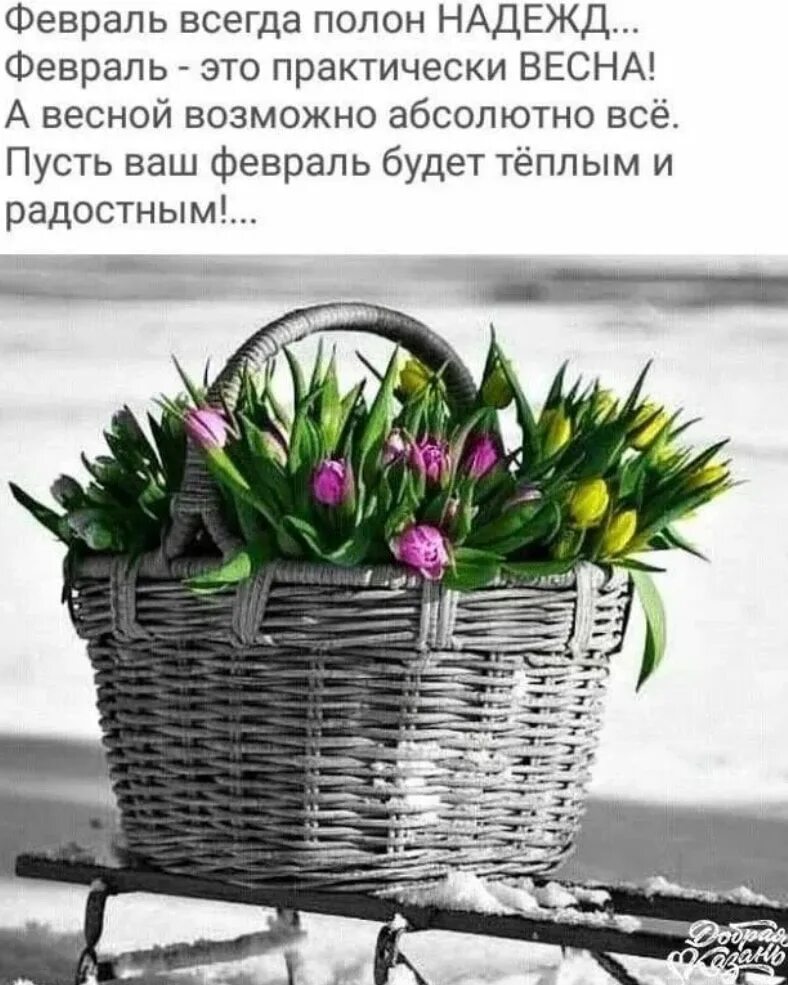 До весны осталось 9 дней. До весны осталось 9 дней. Несколько дней до весны картинки. До весны осталось 9 дней. Дней до весны.
