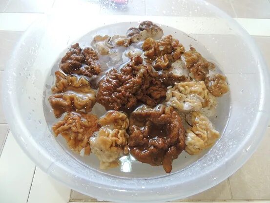 Как приготовить сморчки грибы вкусно на сковороде. Сморчки жареные с луком. сморчки маринованные. сморчки жареные с луком и яйцом. грибы сморчки жареные с картошкой.