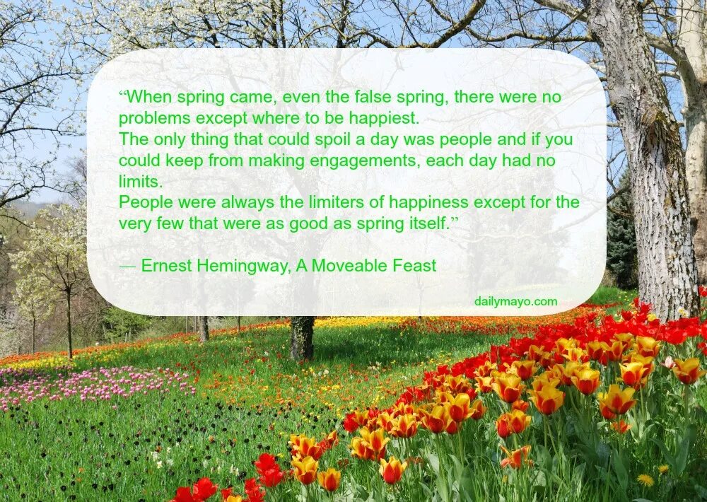 Was the best in spring. Spring is coming стих. Spring is coming Spring is coming стих. Стих Spring is Green. Стих на английском Spring is coming.