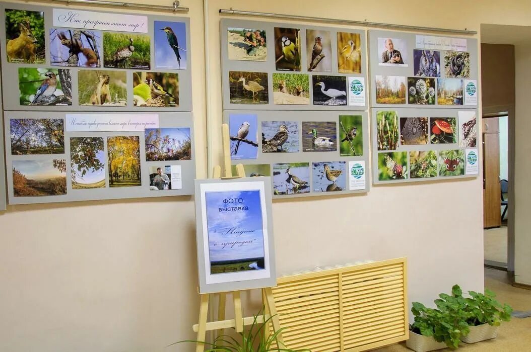 Название фотовыставки. Мини музей в библиотеке. Название выставки вышивки. Мини музей старины в библиотеке. Выставка вышивки в библиотеке.