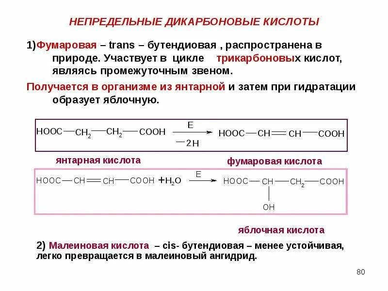 Ненасыщенные дикарбоновые кислоты. Непредельные дикарбоновые кислоты. Роль дикарбоновых кислот в организме. Цикл дикарбоновых кислот.