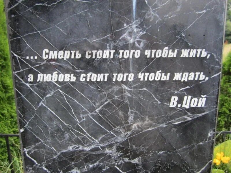 Цой смерть стоит того чтобы. Смерть стоит того чтобы. Смерть стоит того чтобы жить. Любовь стоит того чтобы жить.