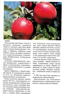 Яблони описание с фотографиями и способы