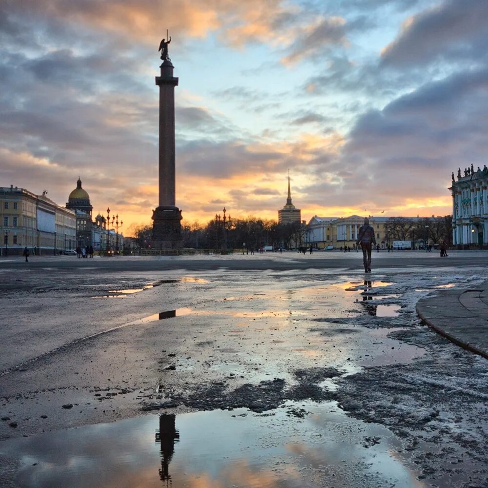 Холод спб