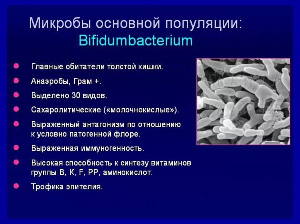 Условно патогенная микрофлора это. Патогенная микрофлора кишечника. Патогенной Флоры. Условно патогенная микрофлора кишечника.