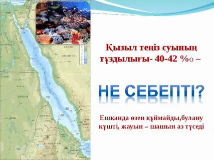 Жүк көлігінің порносын онлайн көру